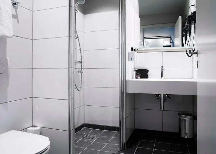 فندق Scandic 4*